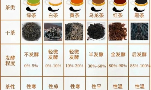 血液取出后室温放多久-血液取回后病人外出网 :分享血液取回后不得再退回-血液取回后病人外出注意事项知识