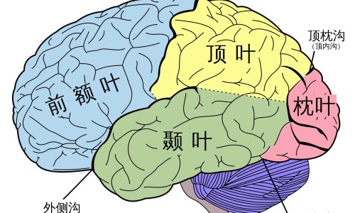 血液取回后病人外出网 :分享血液取回后不得再退回-血液取回后病人外出注意事项知识